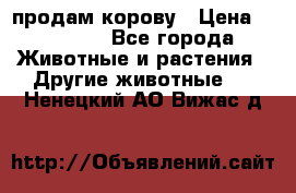 продам корову › Цена ­ 70 000 - Все города Животные и растения » Другие животные   . Ненецкий АО,Вижас д.